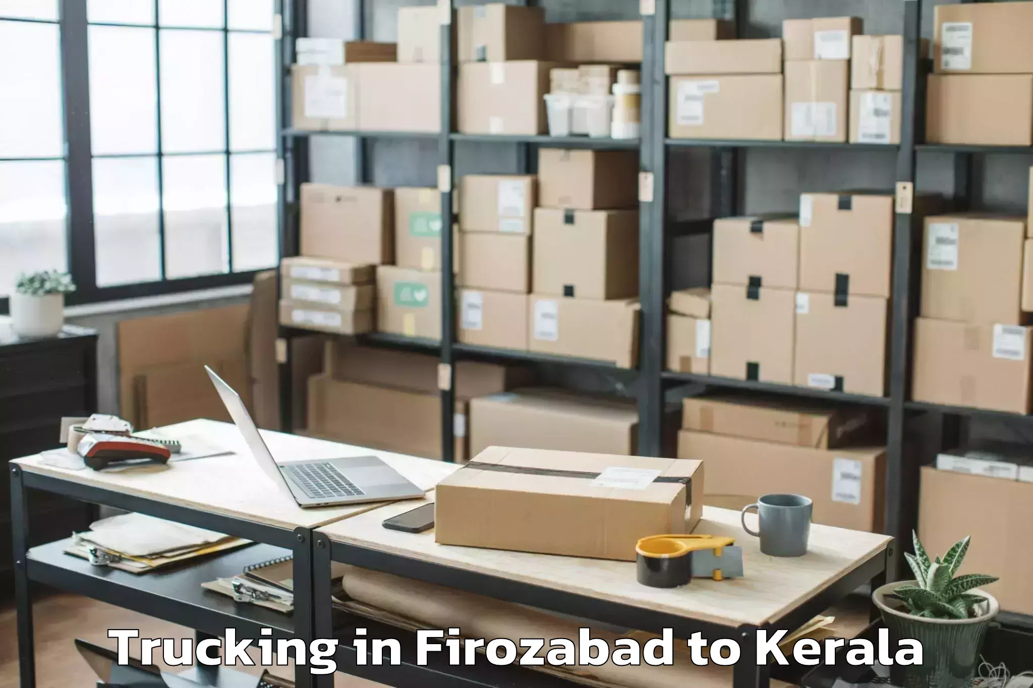 Quality Firozabad to Pathanamthitta Trucking